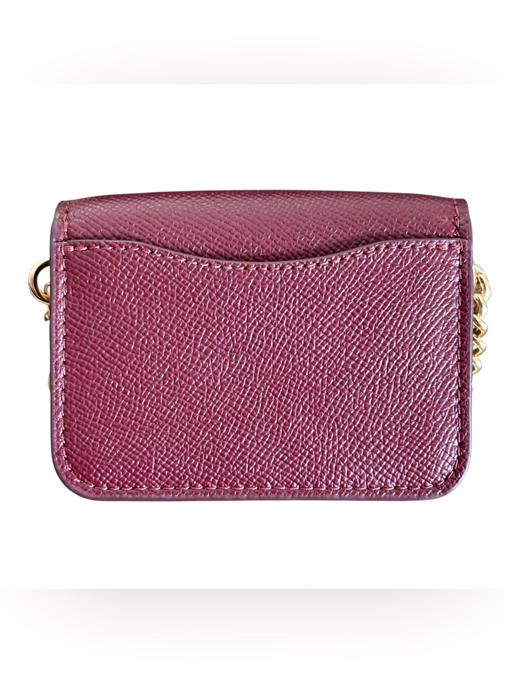 Coach Poppy Leather Two-Piece Crossbody Set with Gold Chain - Picture 10 of 11